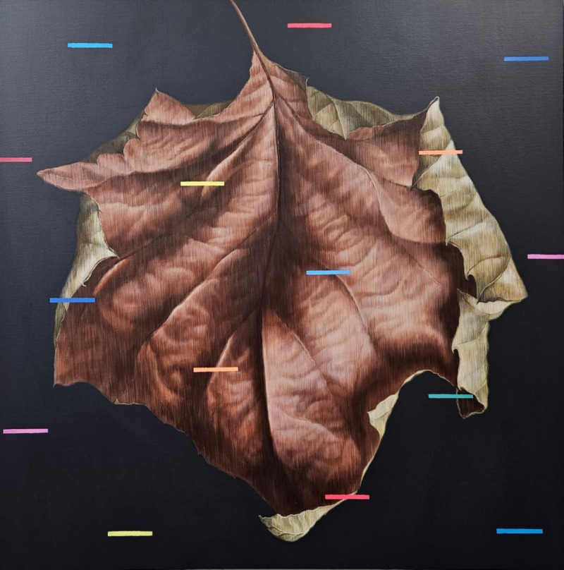 시그널 Signal, 2026, Acrylic on canvas, 72.6×72.6cm..jpg