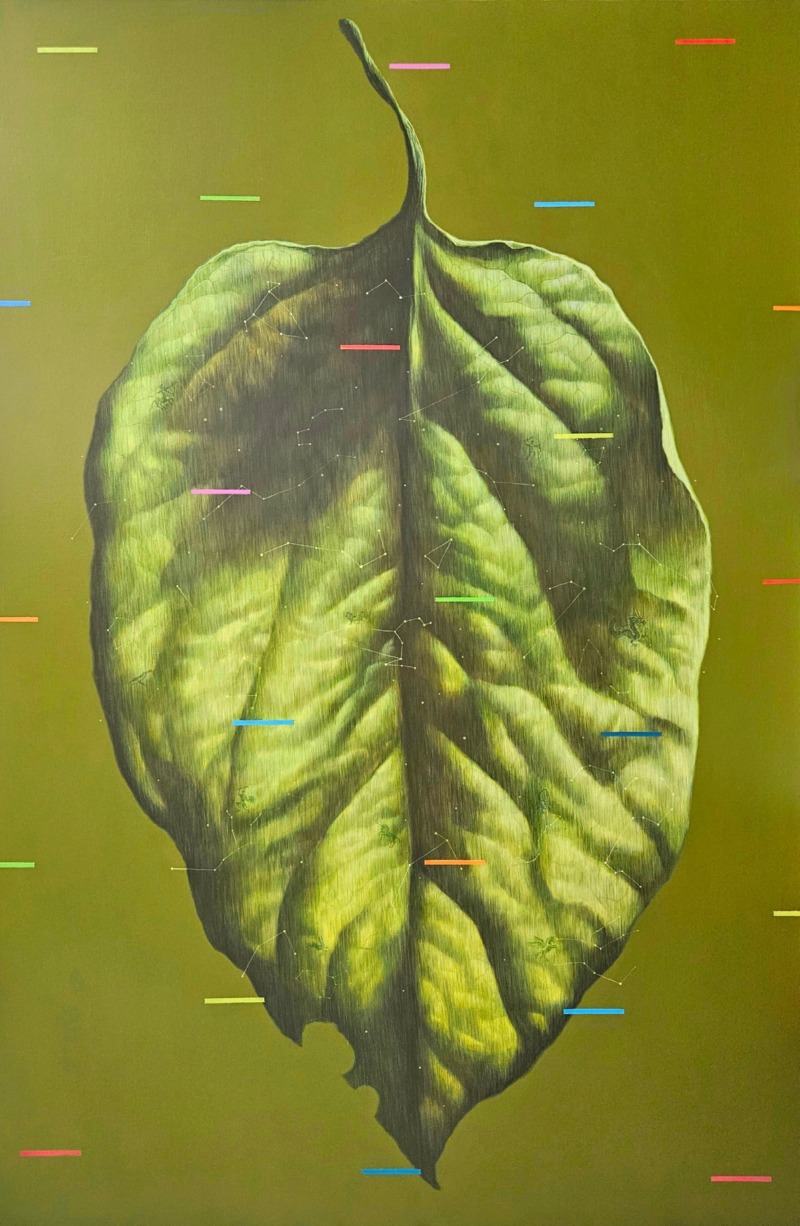 시그널 Signal, 2026, Acrylic on canvas, 145.5×97.0cm(80P).jpg