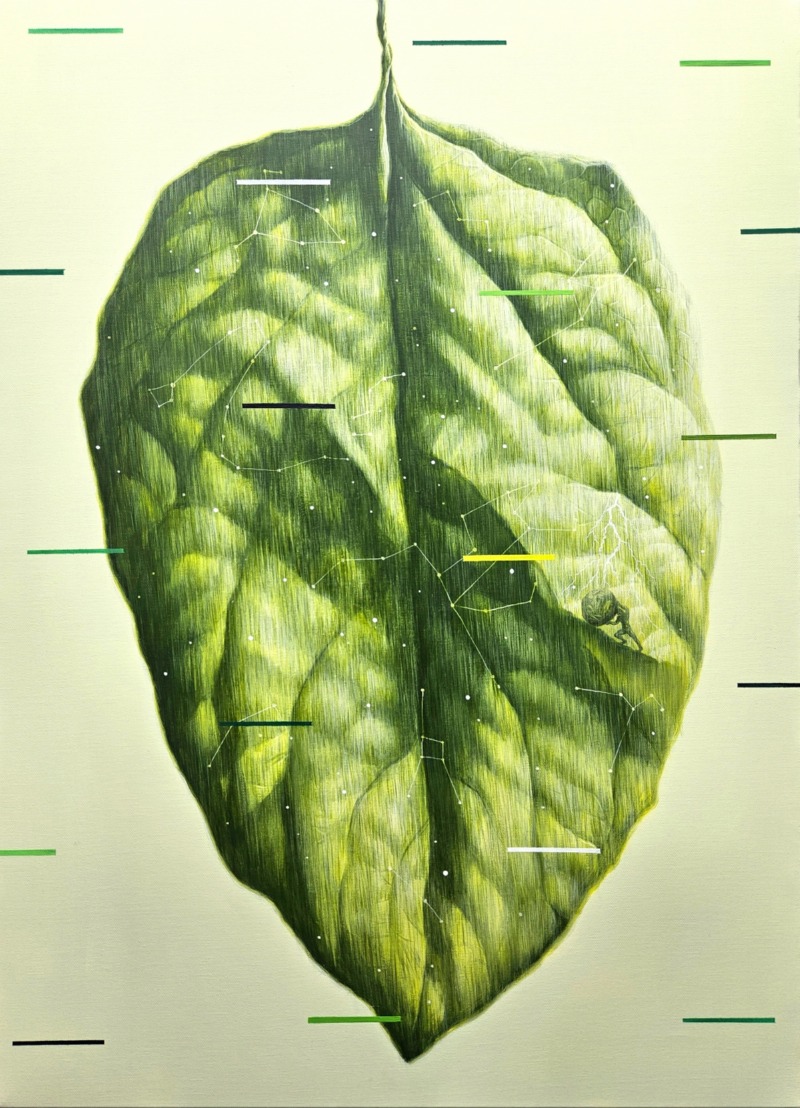 시그널 Signal, 2026, Acrylic on canvas, 72.7×53.0cm(20P) .jpg